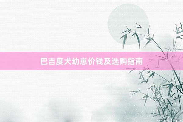 巴吉度犬幼崽价钱及选购指南